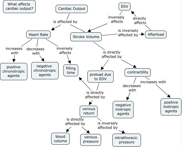 cardiac-output-driverlayer-search-engine